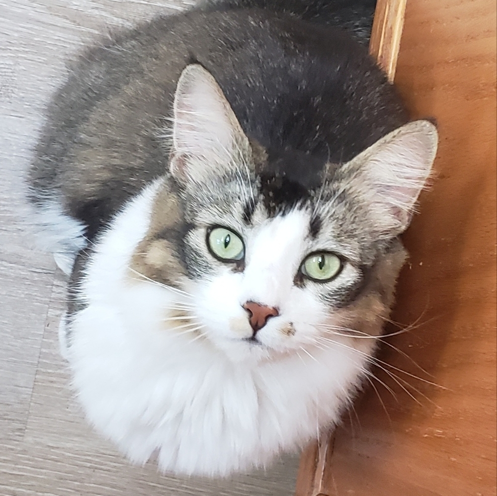 Meet your Posher, Cindy